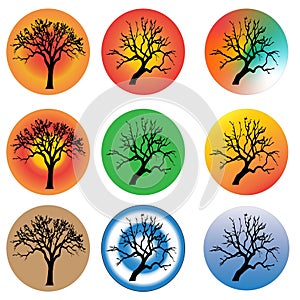 Round Frames with Four Seasons Trees and Colorful Tree Silhouettes in Circles EPS
