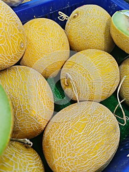 Round fresh yellow melon in the supermarket