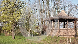 Round garden house under reed roof. Spring nature, flowering tree in garden. Concept of solitude, appeasement