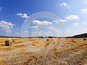 Round gold drains in the field. The harvest of grain, wheat.