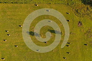 Round golden hay bales in meadow with trees and shadows aerial drone view