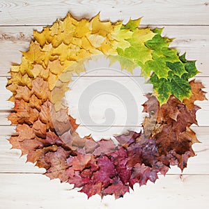 Round gradient of fall maple leaves. Autumn round frame