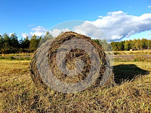 The round grass for animals in the countryside in Oslo city, Norway