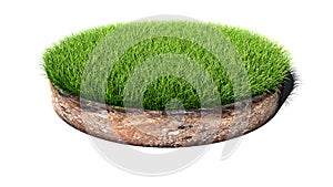 Round green grass land piece