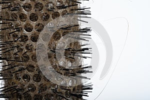 round hair brush with fallen hair, highlighted on a white background, close-up, free space for text
