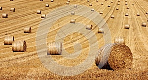 Round Hay Bails