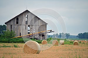 Round Hay Bails in Field
