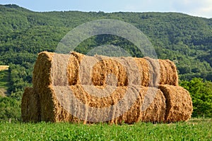 Round Hay Bails photo