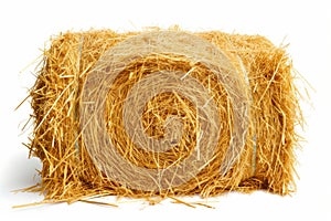 Round hay bale isolated on white background