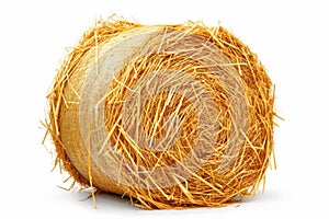 Round hay bale isolated on white background