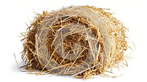 Round hay bale isolated on white background