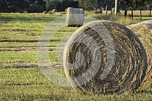 Round hay bale with negative space