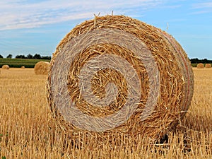 Round hay bale on stubble field harvest season landscape