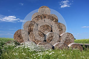 Round hay bales