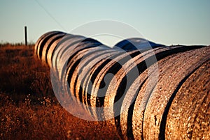 Round hay bales