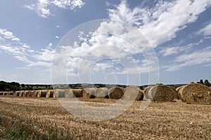 Round Hay bales