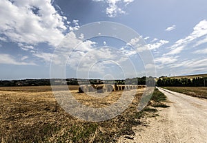 Round Hay bales