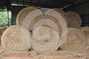 Round Hay Bales In The Barn