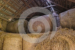 Round hay bales in barn