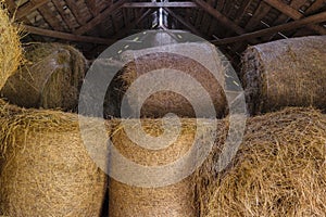 Round hay bales in barn