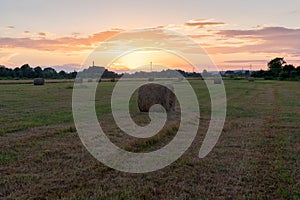 Round hay bales on field at golden sunset