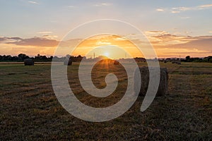 Round hay bales on field at golden sunset