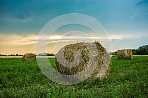 Round hay bales in a green meadow at sunrise