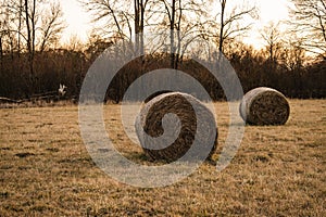 Round hay bales lying in the field at sunset