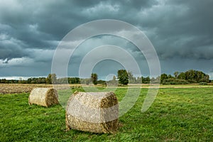 Round hay bales lying on a green meadow and dark rainy clouds in the sky