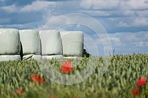 Round hay bales in plastic wrap cover stacked outdoors