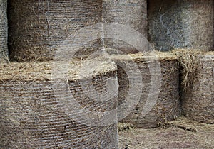 Round hay bales stacked in loft