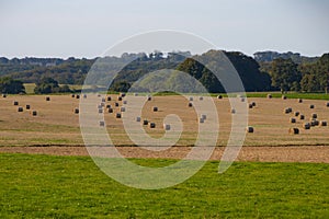 Round hay bales on a stubble field