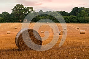 Round hay bales at sunset on farmland in West Sussex, UK