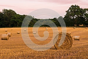 Round hay bales at sunset on farmland in West Sussex, UK