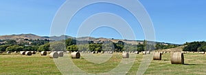 Round Hay Bales at Tai Tapu Canterbury New Zealand