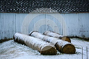 Round Hay Bales by White Barn