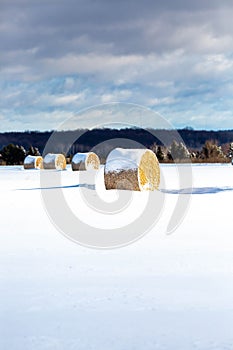 Round hay bales in a Wisconsin field during winter
