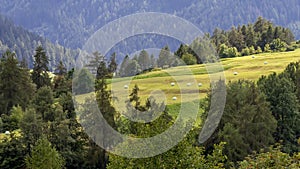 Round hay bales wrapped in a white plastic cover are lying in a beautiful green meadow near Stelvio, South Tyrol, Italy