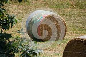 Round hays covered with colorful rainbow plastics near Arkansas, U.S