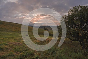 Round haystack on a sloping green field in cloudy weather