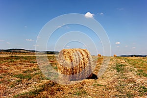 Round haystacks lie on the field on a sunny day.