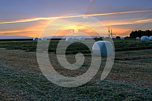 Round haystacks, spools on a mown field in the evening at sunset, harvest concept, agricultural