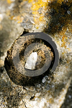 Round hole on rock macro background wallpaper high quality prints 50,6 Megapixels products