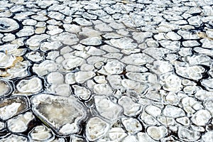 Round ice floes