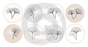 Round icons with ginkgo biloba leaves, set, pastel colors. Social media templates vector