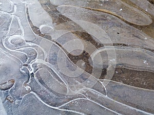 Round irregular shapes in ice on frozen puddle in winter, concept of rigidity and stillness