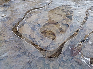 Round irregular shapes in ice on frozen puddle in winter, concept of rigidity and stillness