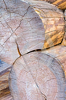 Round log end weathered building materials sauna traditional heat preservation cracked surface