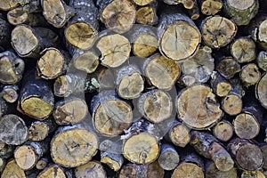 round logs fire pile, cozy log fire, blog image for autumn post