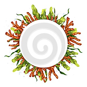 Round marine frame made of tropical fish, corals, algae, stones. Underwater world, digital illustration on a white background. For